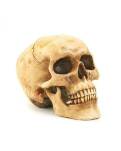 GRINNING SKULL